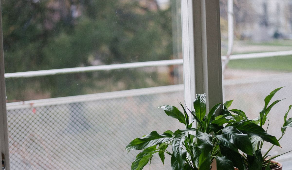 Practical Ways to Keep Small Rooms Tidy